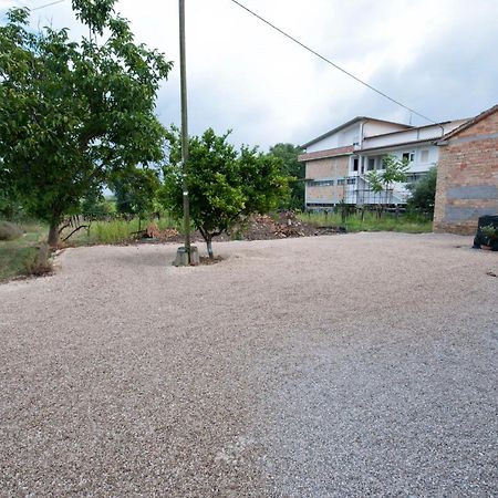 B&B Tra Gli Ulivi Рокка-Сан-Джованни Экстерьер фото