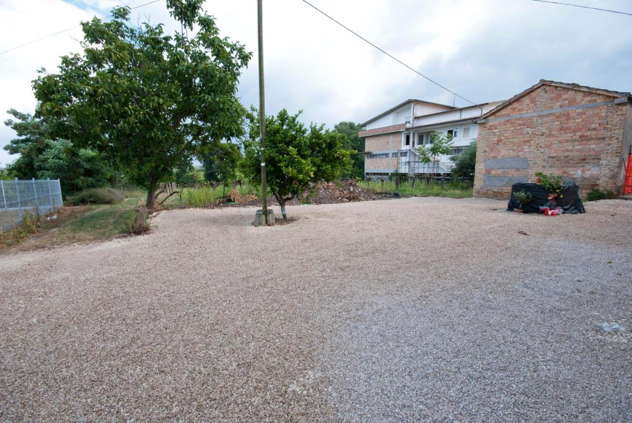 B&B Tra Gli Ulivi Рокка-Сан-Джованни Экстерьер фото